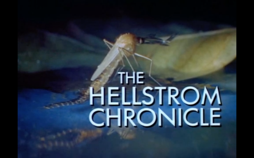 Film: Hellstrom rydder opp